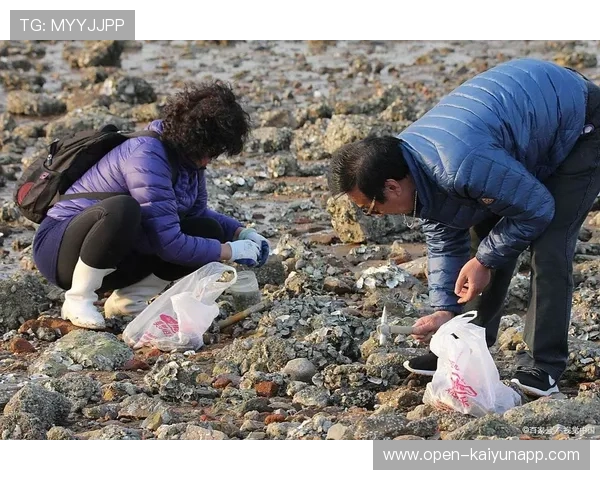 惠州赶海人台风后忙采海鲜，惠州赶海捡海货攻略